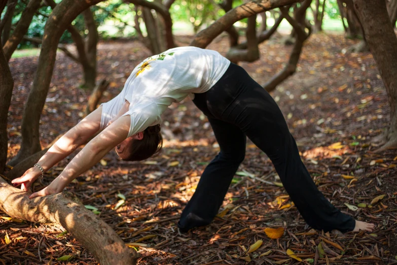 a man in a white shirt and black pants doing a yoga pose, arabesque, natural botanical gardens, avatar image, bending over, trees growing on its body