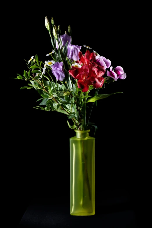 a green vase filled with purple and red flowers, inspired by François Boquet, romanticism, photographed, f/9, bright on black, tall shot