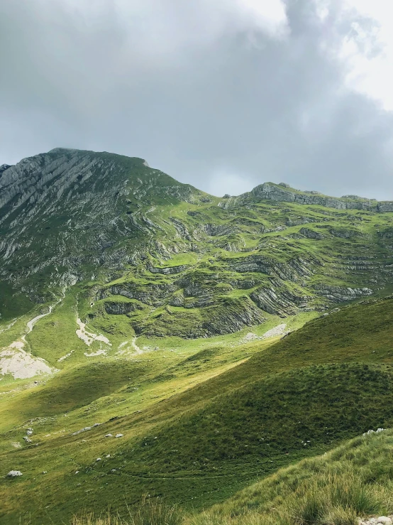 a herd of sheep standing on top of a lush green hillside, by Emma Andijewska, les nabis, giant imposing mountain, leading lines, in the center of the image, boka