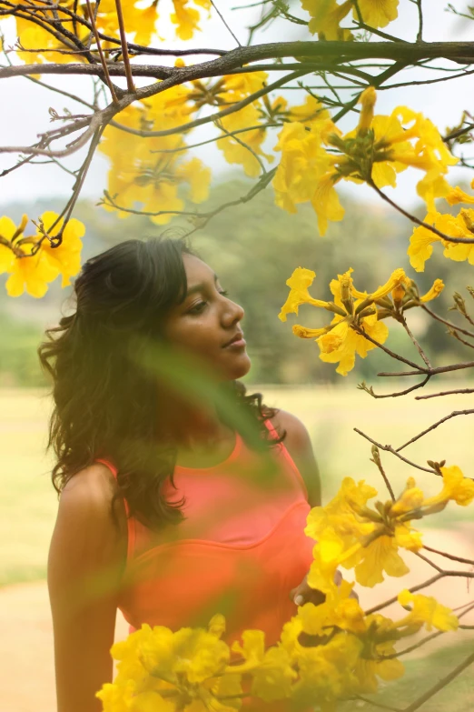 a woman standing under a tree with yellow flowers, pexels contest winner, sri lankan landscape, with brown skin, sza, sunny environment