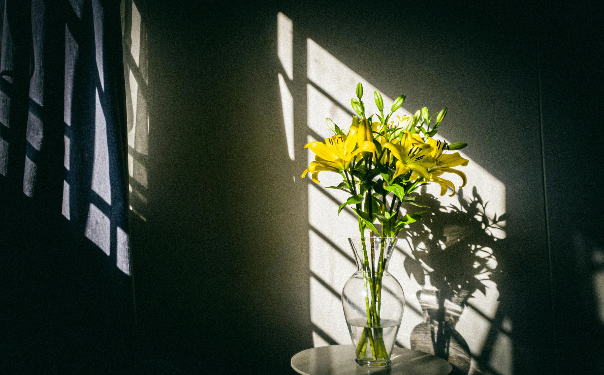 a vase filled with yellow flowers sitting on top of a table, unsplash contest winner, light and space, long cast shadows, lily flowers, sunflare, shot on sony a 7