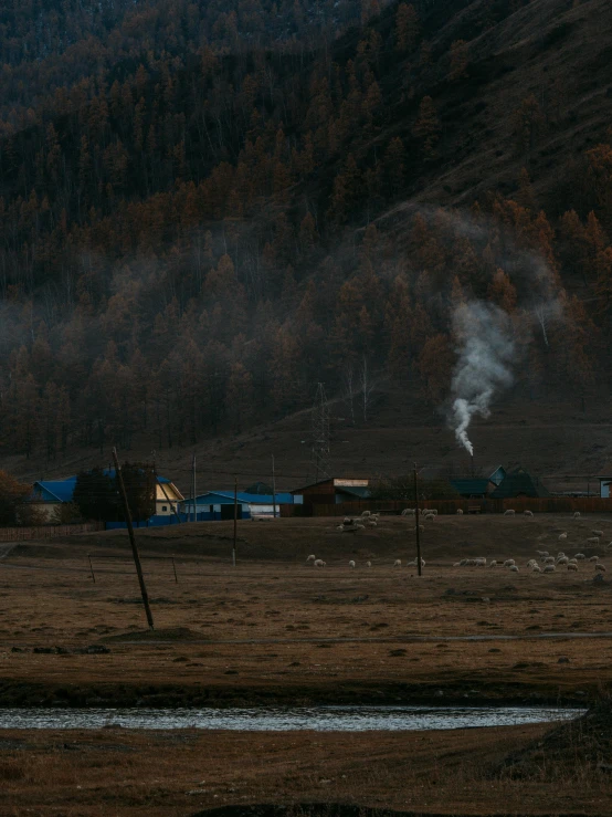 a herd of sheep standing on top of a dry grass covered field, inspired by Elsa Bleda, pexels contest winner, buildings and smoke, hideen village in the forest, photo taken from a boat, photo of genghis khan