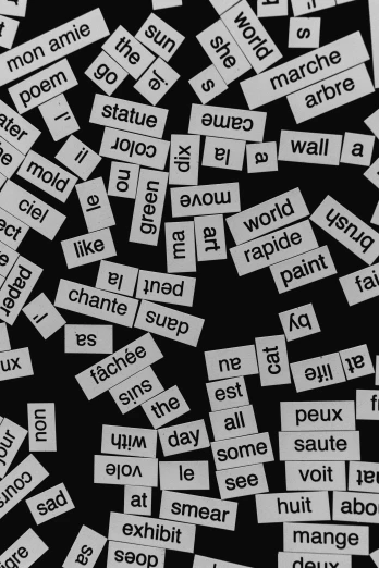 a black and white photo of a bunch of words, magnetic, french, 15081959 21121991 01012000 4k, paul barson