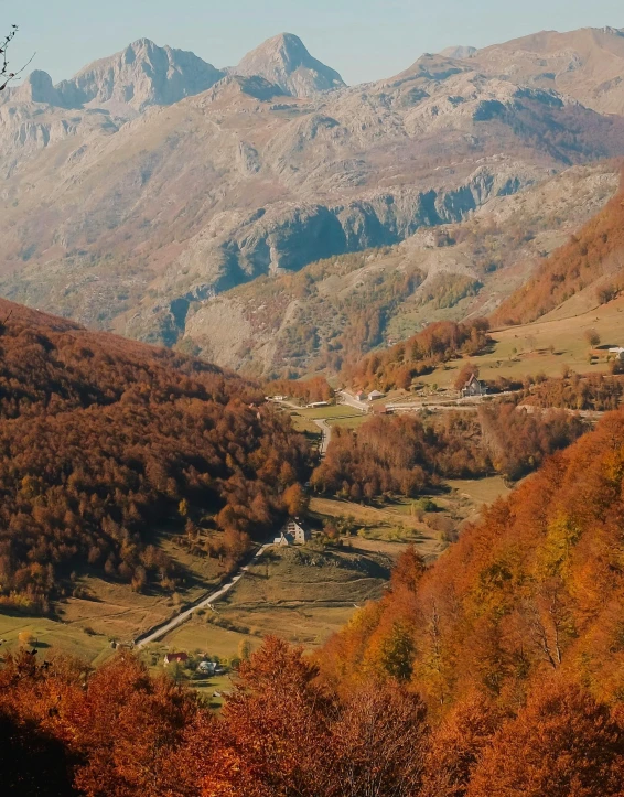 a couple of sheep standing on top of a lush green hillside, pexels contest winner, les nabis, maple trees with fall foliage, thumbnail, alps, high view