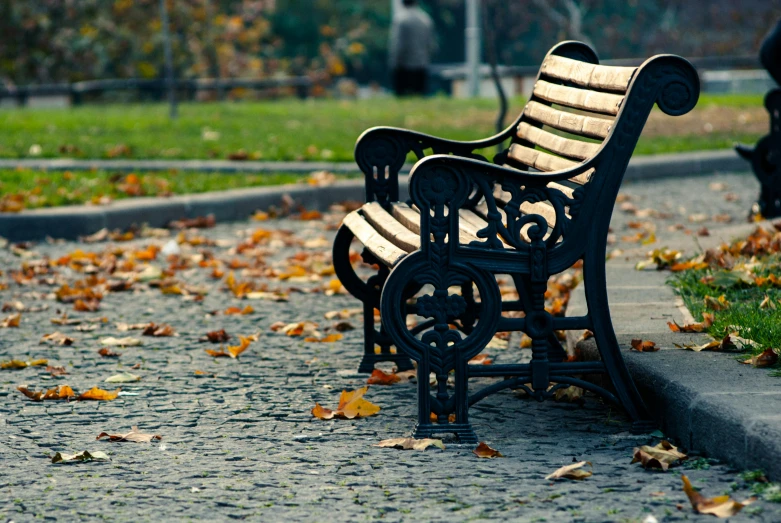 a park bench sitting on the side of a road, inspired by Otakar Sedloň, pexels contest winner, square, fall leaves on the floor, wrought iron, high resolution