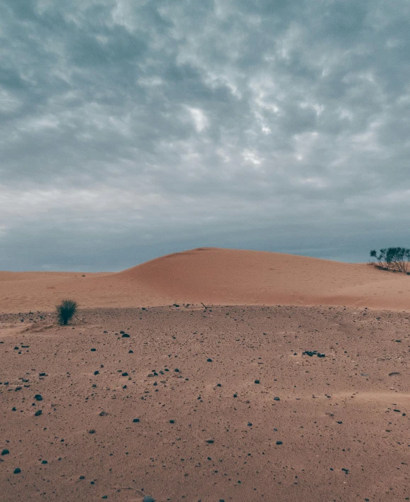 a lone tree sitting in the middle of a desert, red sand, grey cloudy skies, unsplash photography, multiple stories