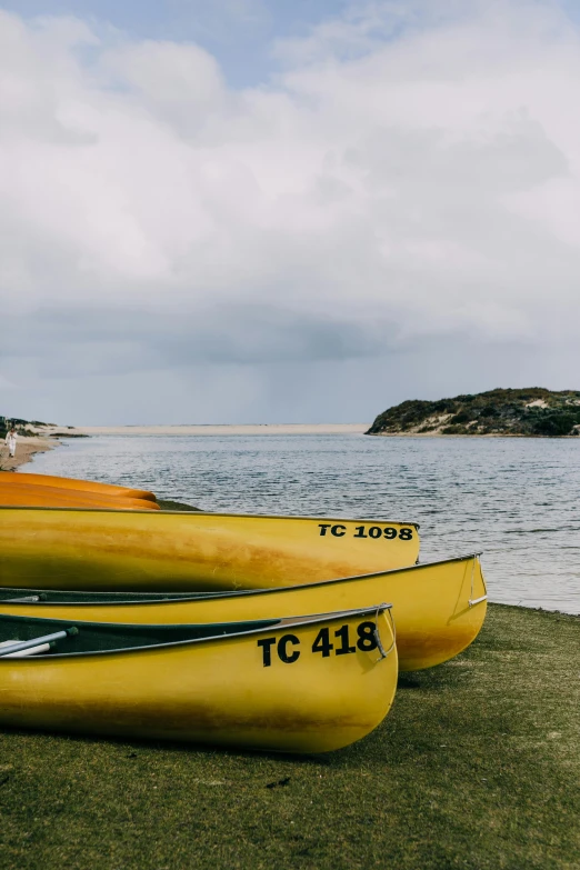 a couple of yellow canoes sitting on top of a lush green field, unsplash, beach setting medium shot, overcast day, some boats, australian beach