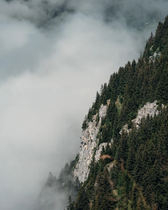 a plane flying over a mountain on a cloudy day, by Daniël Mijtens, pexels contest winner, romanticism, spruce trees on the sides, falling off a cliff, moist foggy, high angle vertical