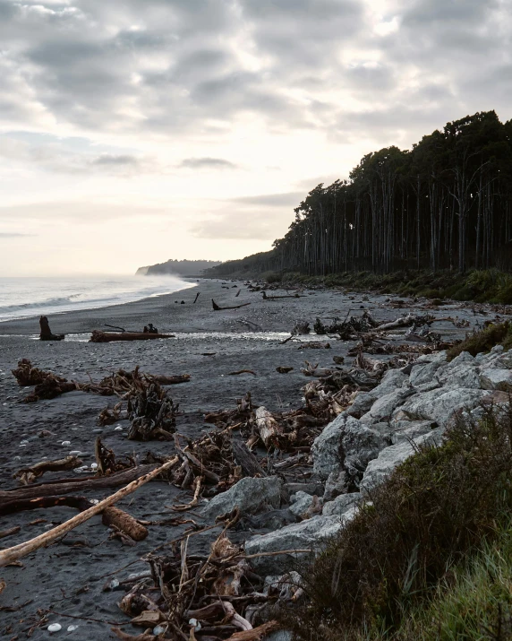 a man riding a surfboard on top of a sandy beach, inspired by William Trost Richards, unsplash contest winner, sumatraism, with dark trees in foreground, debris on ground, haida, cliff side at dusk