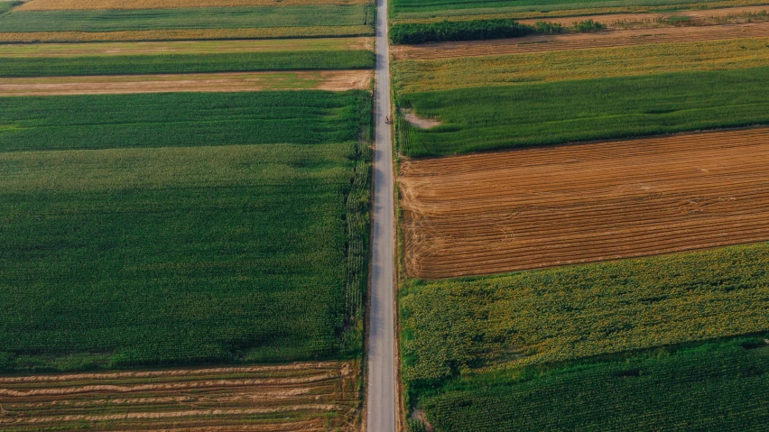 an aerial view of a country road in the middle of a field, pexels contest winner, precisionism, rows of lush crops, sustainable materials, split near the left, boundary of two lands