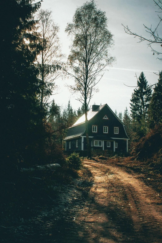 a house sitting on the side of a dirt road, by Jesper Knudsen, dark forests surrounding, cozy environment, gambrel roof building, 90's photo