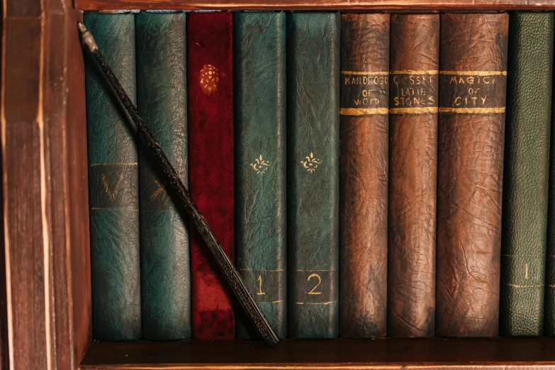 a book shelf filled with lots of old books, an album cover, by Konrad Witz, unsplash, renaissance, long trunk holding a wand, thumbnail, various colors, up close