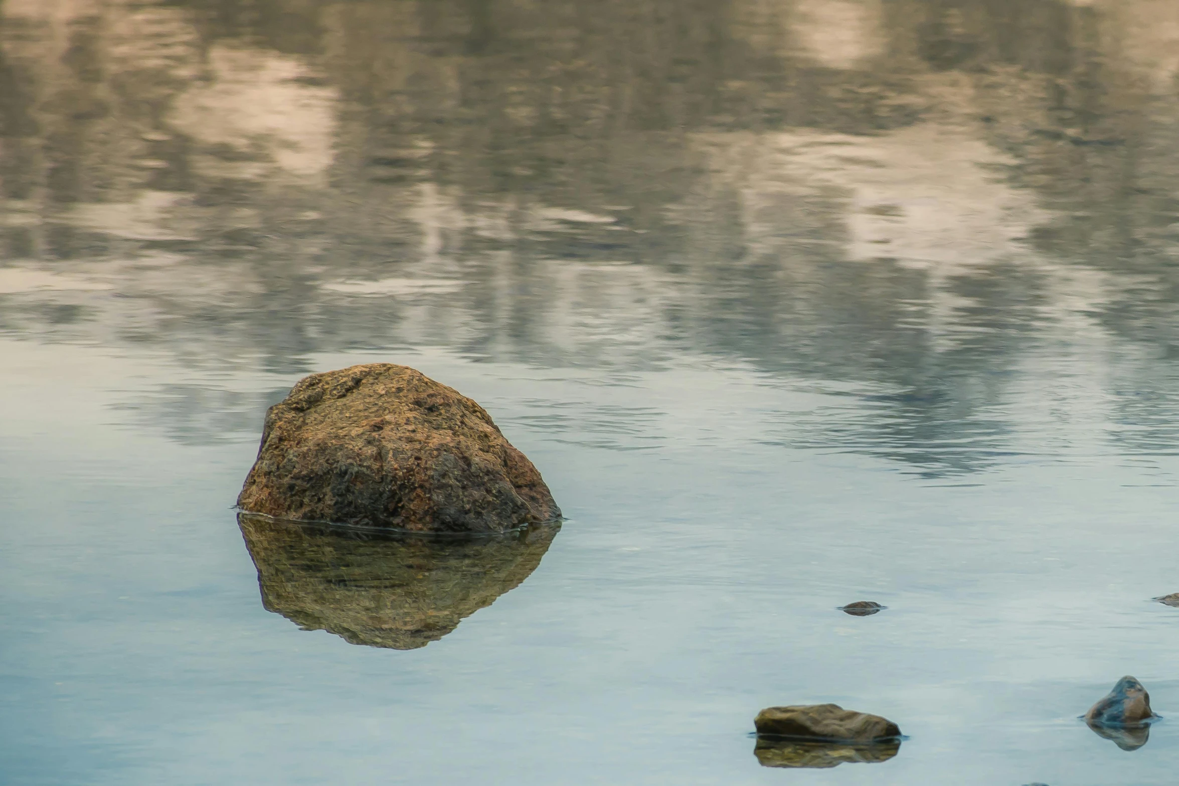 a bird sitting on top of a rock in a body of water, a picture, inspired by William Stott, unsplash, tonalism, floating rocks, lake reflection, ignant, a small