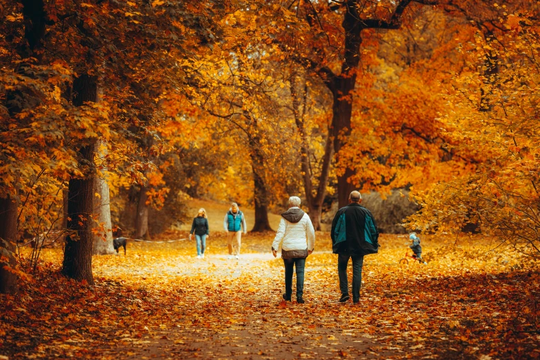 a group of people walking down a leaf covered path, by Zofia Stryjenska, pexels, fan favorite, warm color clothes, 1 6 x 1 6, autumn colour oak trees