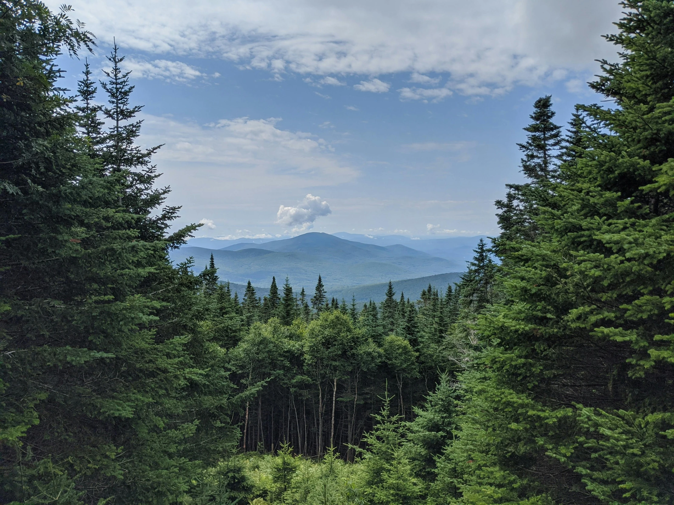 a forest filled with lots of green trees, a picture, by Carey Morris, pexels contest winner, hudson river school, new hampshire mountain, sparse mountains on the horizon, solo hiking in mountains trees, a wooden