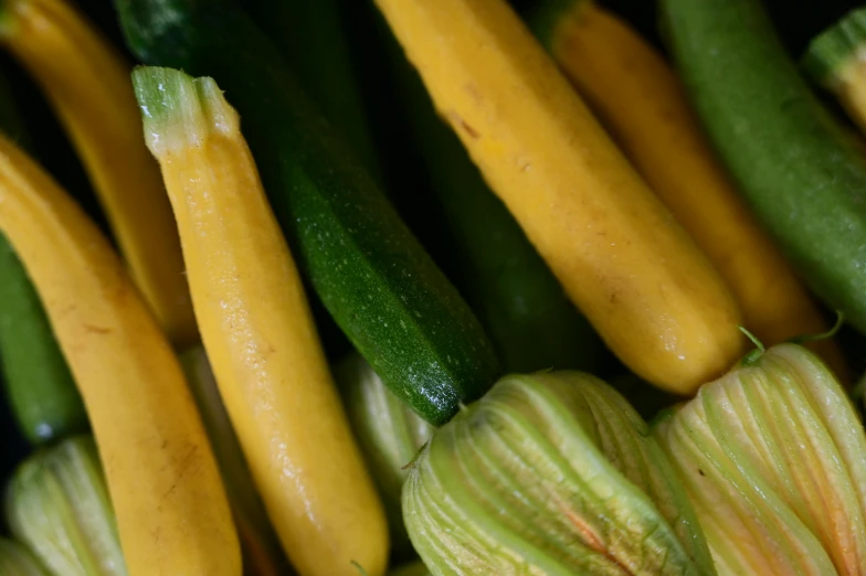 a close up of a bunch of squash and zucchini, inspired by Géza Dósa, unsplash, renaissance, square, bells, 3 4 5 3 1, fan favorite