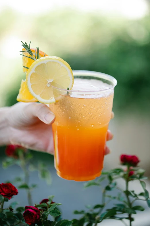 a person holding a glass of orange juice, iced tea glass, kailee mandel, al fresco, fan favorite