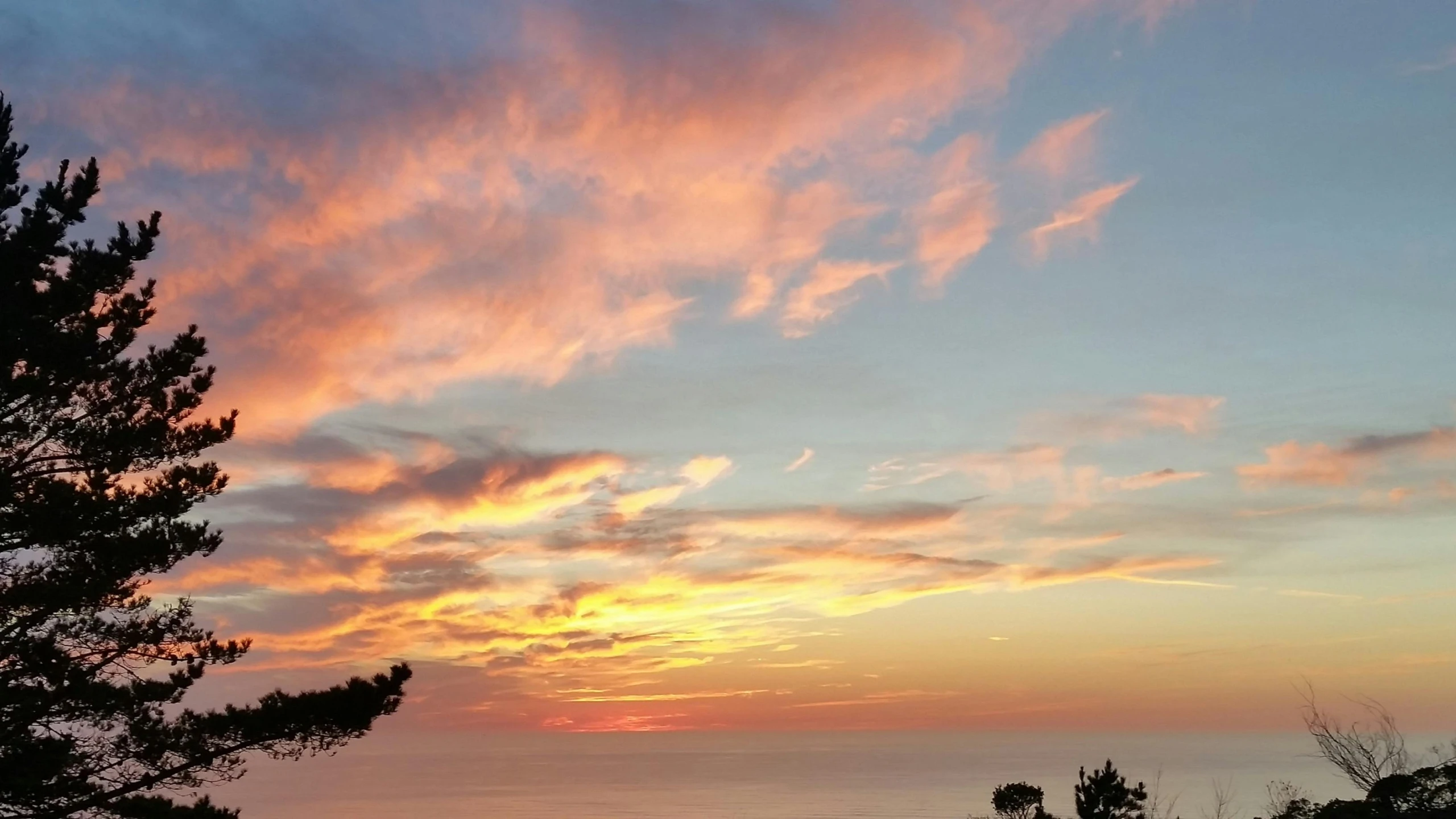 a bench sitting next to a tree on top of a hill, a picture, unsplash contest winner, romanticism, pink clouds in the sky, seaview, fire from sky, taken on iphone 1 3 pro