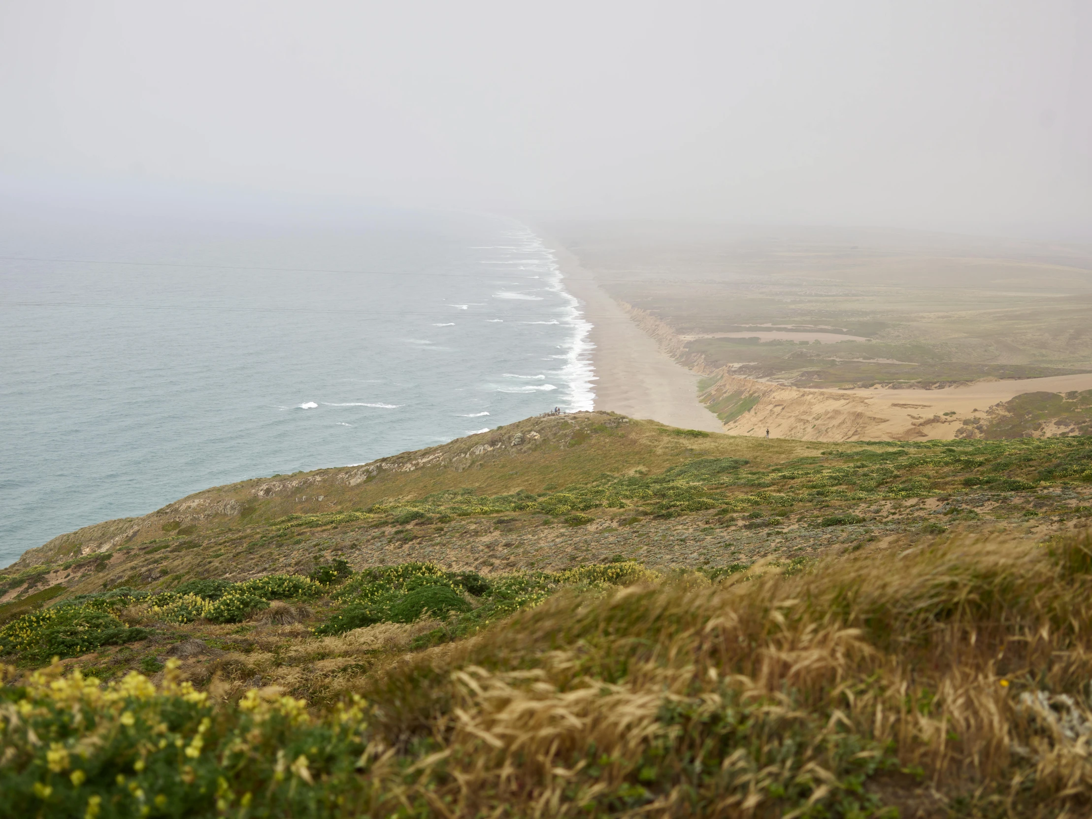 a view of the ocean from the top of a hill, slight fog, soft-sanded coastlines, profile image, usa