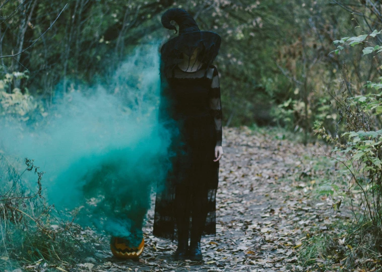 a person standing on a path in the woods, by Elsa Bleda, pexels contest winner, surrealism, :6 smoke grenades, black witch hat, black and teal paper, trick or treat