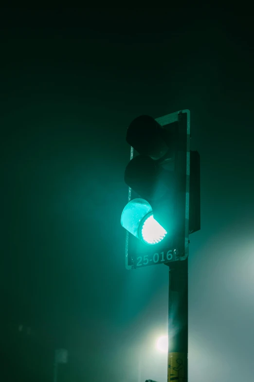 a green traffic light sitting on top of a pole, an album cover, inspired by Elsa Bleda, unsplash, cyan fog, cool night color, intersection, single color