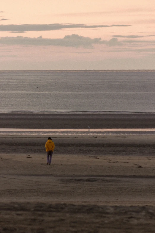 a person standing on a beach flying a kite, inspired by Michael Ancher, minimalism, maryport, (golden hour), alone!!, obscured hooded person walking