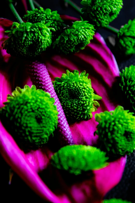 a pink bowl filled with lots of green flowers, inspired by Gustave Boulanger, unsplash, many cryogenic pods, lettuce, vibrant dark mood, purple tubes