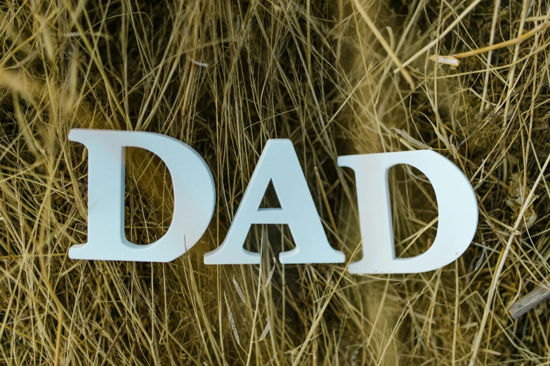 a couple of letters sitting on top of a pile of hay, dada, i'm dad, made out of shiny white metal, profile image, detail shot