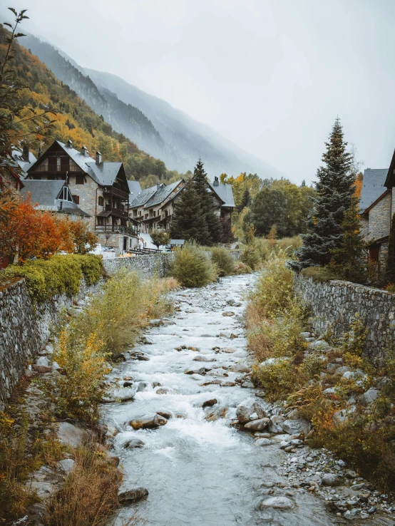 a river running through a lush green forest filled with trees, inspired by Pierre Pellegrini, pexels contest winner, renaissance, alpine architecture, spooky autumnal colours, on a village, a cozy