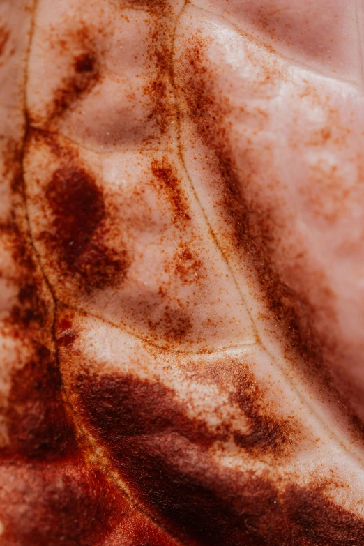 a close up of some food on a plate, a macro photograph, by Doug Ohlson, skin texture like a brain, reddish - brown, tattooed skin, leaves