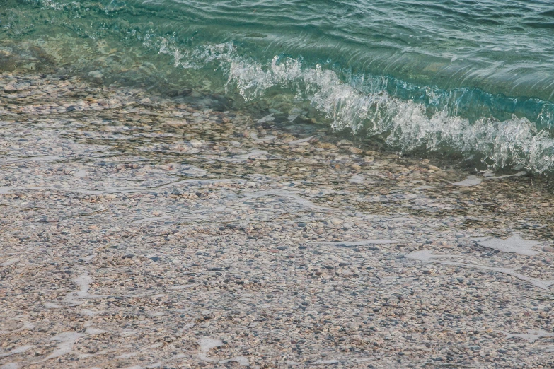 a bird standing on top of a beach next to the ocean, inspired by Vija Celmins, unsplash, figuration libre, wave of water particles, turquoise water, gravels around, crystal clear neon water