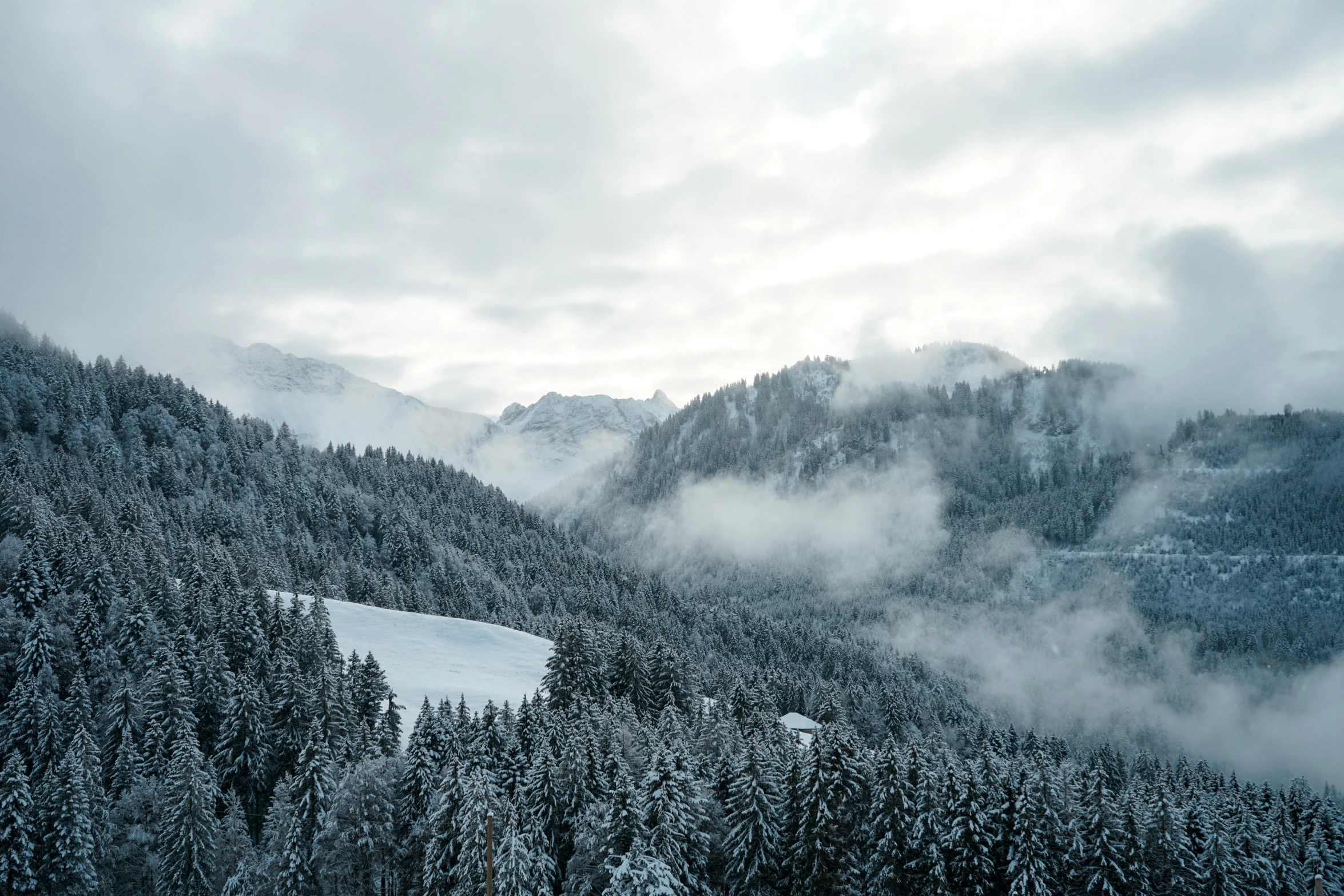 a group of people riding skis down a snow covered slope, a photo, by Matthias Weischer, pexels contest winner, renaissance, lush forest in valley below, covered in clouds, grey, slightly pixelated