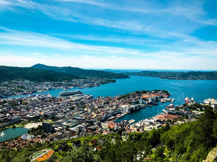 a large body of water next to a lush green hillside, by Tom Wänerstrand, pexels contest winner, renaissance, aerial view of a city, norwegian, 🦩🪐🐞👩🏻🦳, square