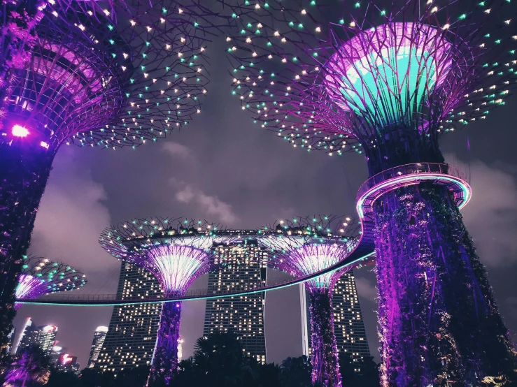 gardens by the bay at night, a colorized photo, inspired by Bruce Munro, pexels contest winner, purple and green colors, mushroom structures, beautiful wallpaper, dreamy aesthetic