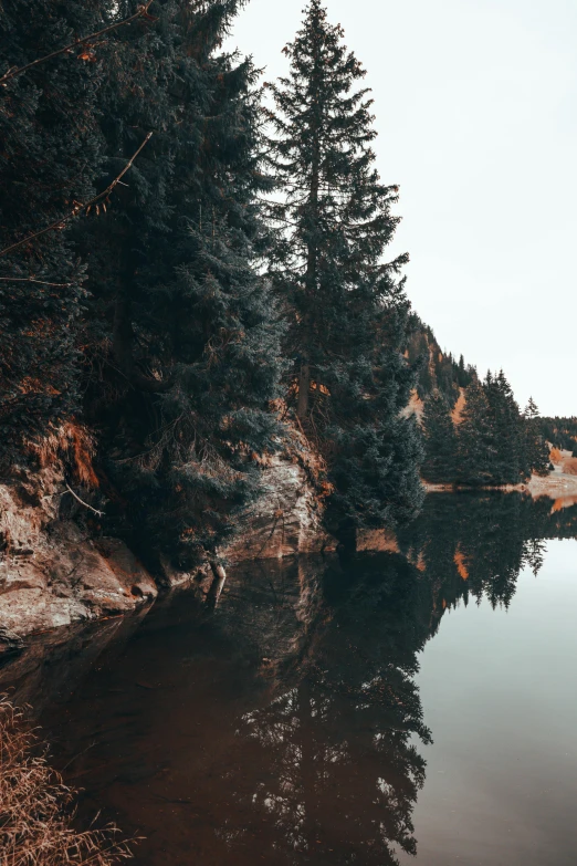 a body of water next to a forest, pexels contest winner, fir trees, low quality photo, glossy surface, chasm