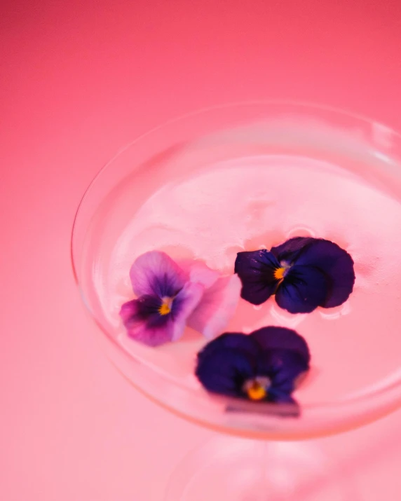 a glass filled with water and purple flowers, brightly lit pink room, set on singaporean aesthetic, edible flowers, pose 4 of 1 6