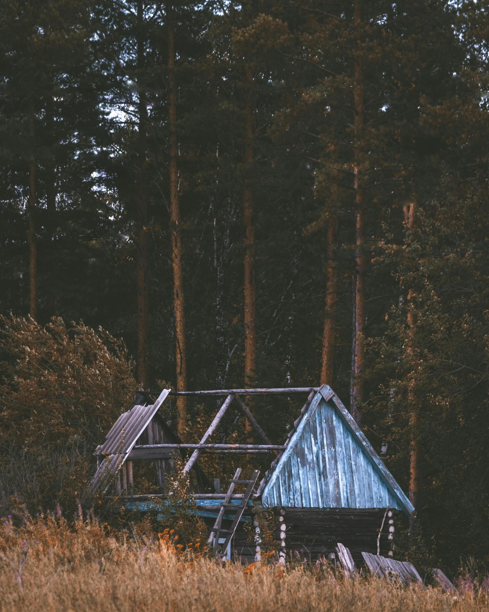 a house in the middle of a field with trees in the background, inspired by Elsa Bleda, unsplash contest winner, renaissance, in an arctic forest, simple structure, dimly lit, sitting in the forrest