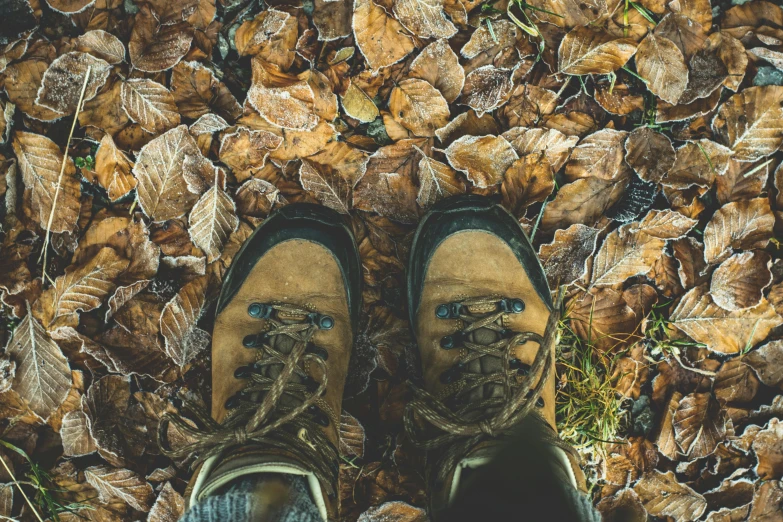 a pair of shoes sitting on top of a pile of leaves, wearing adventuring gear, brown colours, instagram photo, profile image