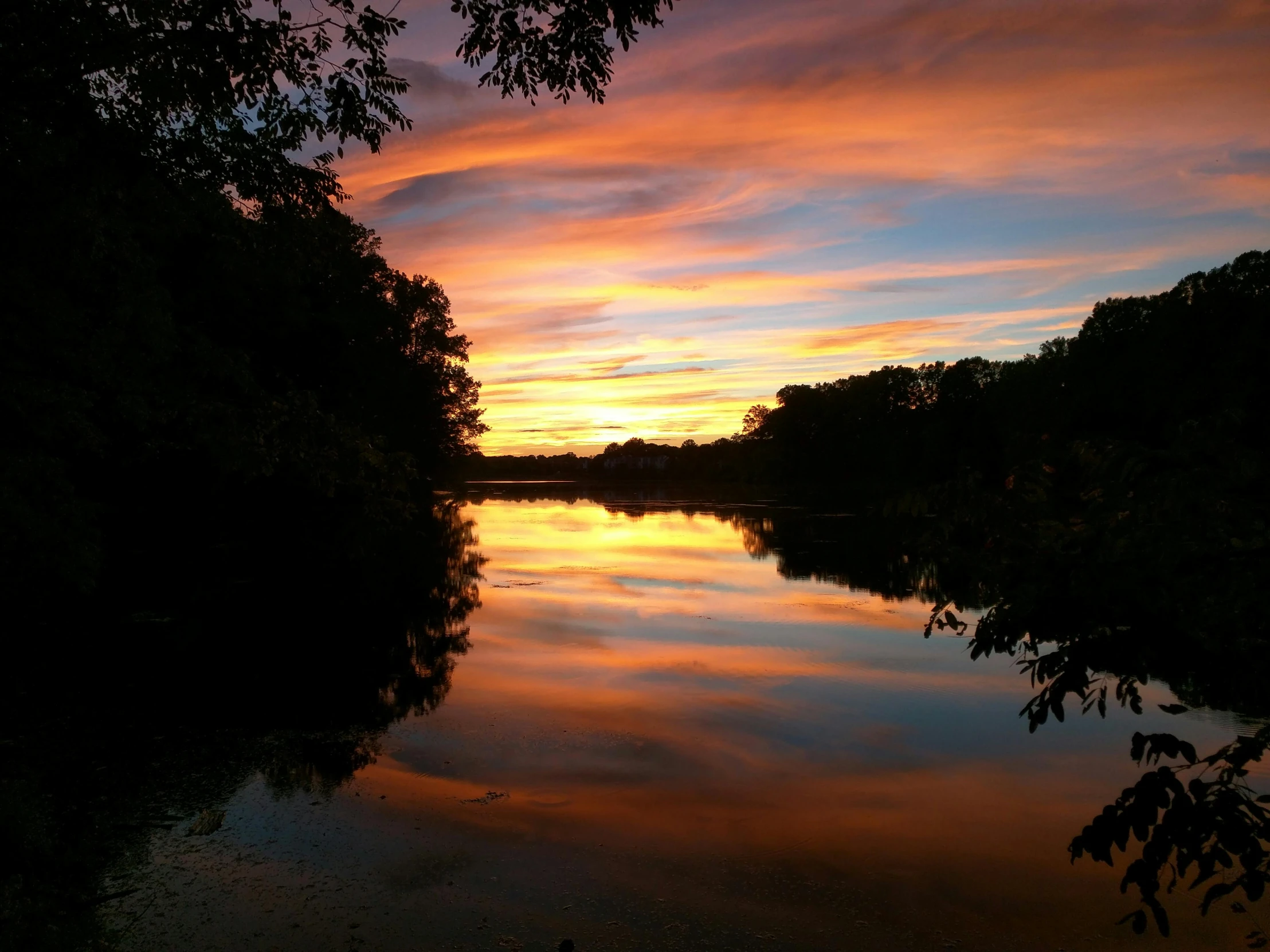 a large body of water surrounded by trees, by Joe Stefanelli, pexels contest winner, sunsetting color, minn, slide show, great river