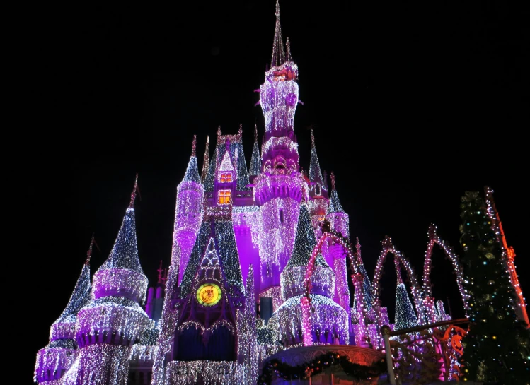 a couple of people standing in front of a castle, inspired by disney, pexels, process art, christmas lights, cool purple grey lighting, walt disney world, performing