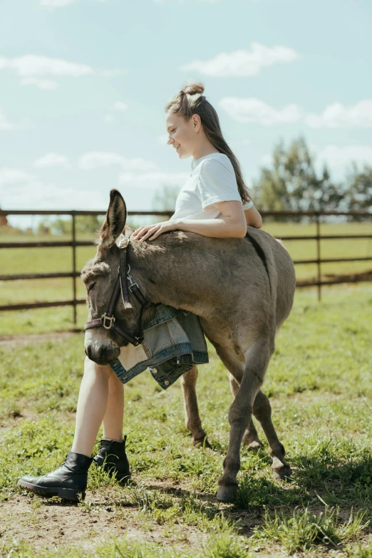 a girl is sitting on a donkey in a field, unsplash, two legged with clawed feet, grey, full body length, college