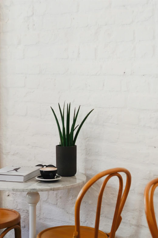 a couple of wooden chairs sitting next to a table, a still life, trending on unsplash, potted plant, matte black, detail shot, streamlined spines