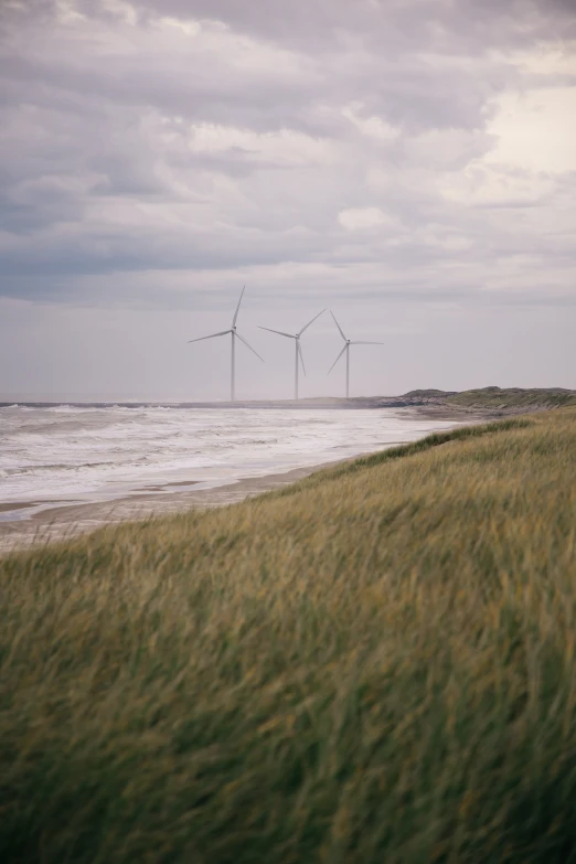 a field of grass with wind turbines in the background, by Jan Tengnagel, beach, cinematic lut, shore, a green