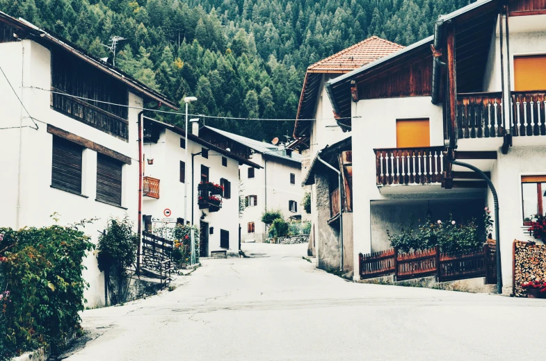 a couple of buildings that are next to each other, an album cover, pexels contest winner, renaissance, small village, alpes, suburbia street, grainy vintage