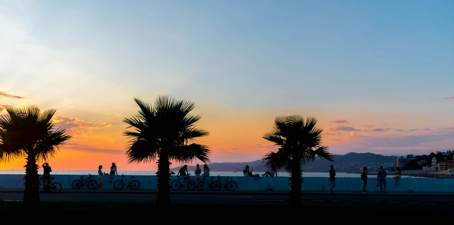 a group of palm trees sitting on top of a sandy beach, by Niko Henrichon, pexels contest winner, city sunset, split near the left, sport, over the shoulder