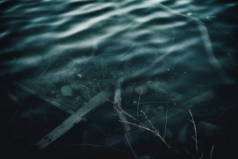 a piece of wood floating on top of a body of water, inspired by Elsa Bleda, pexels contest winner, romanticism, dark hues, currents, blue, river styx