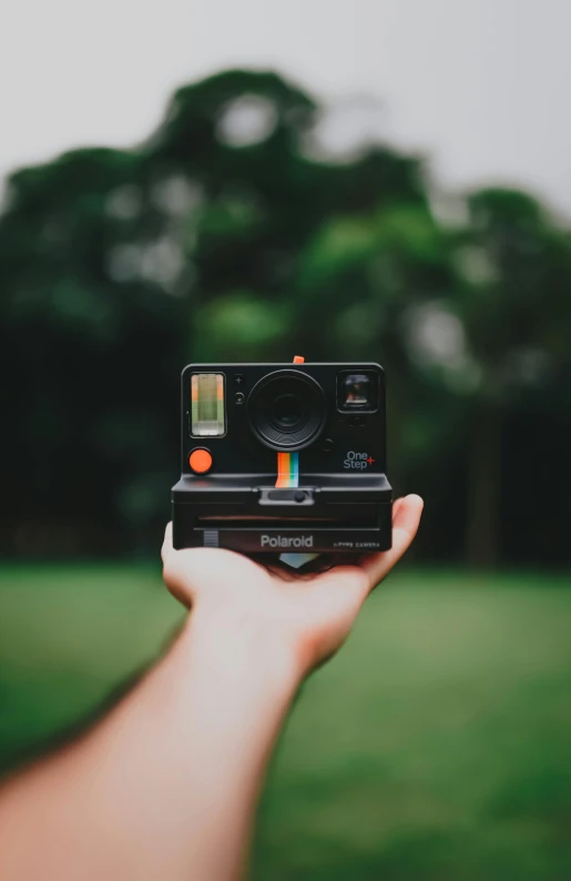 a person holding a polaroid camera in their hand, pexels contest winner, holography, with a tree in the background, low quality photo, unsplash 4k, medium format