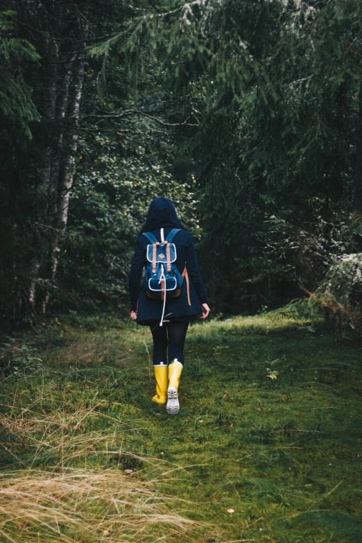a person with a backpack walking through a forest, in blue and yellow clothes, instagram post, dark. no text, college