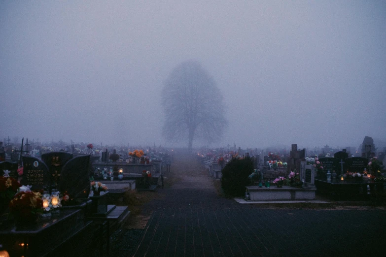a cemetery with a tree on a foggy day, an album cover, by Attila Meszlenyi, pexels contest winner, lo-fi, cold scene, funeral, dying