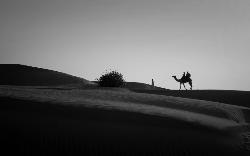 a black and white photo of a person riding a camel, a black and white photo, unsplash contest winner, minimalism, dusk setting, dessert, india, burka